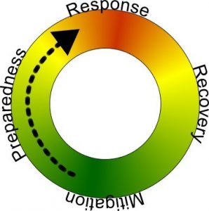 cdm cycle