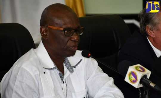 Hon. Desmond McKenzie